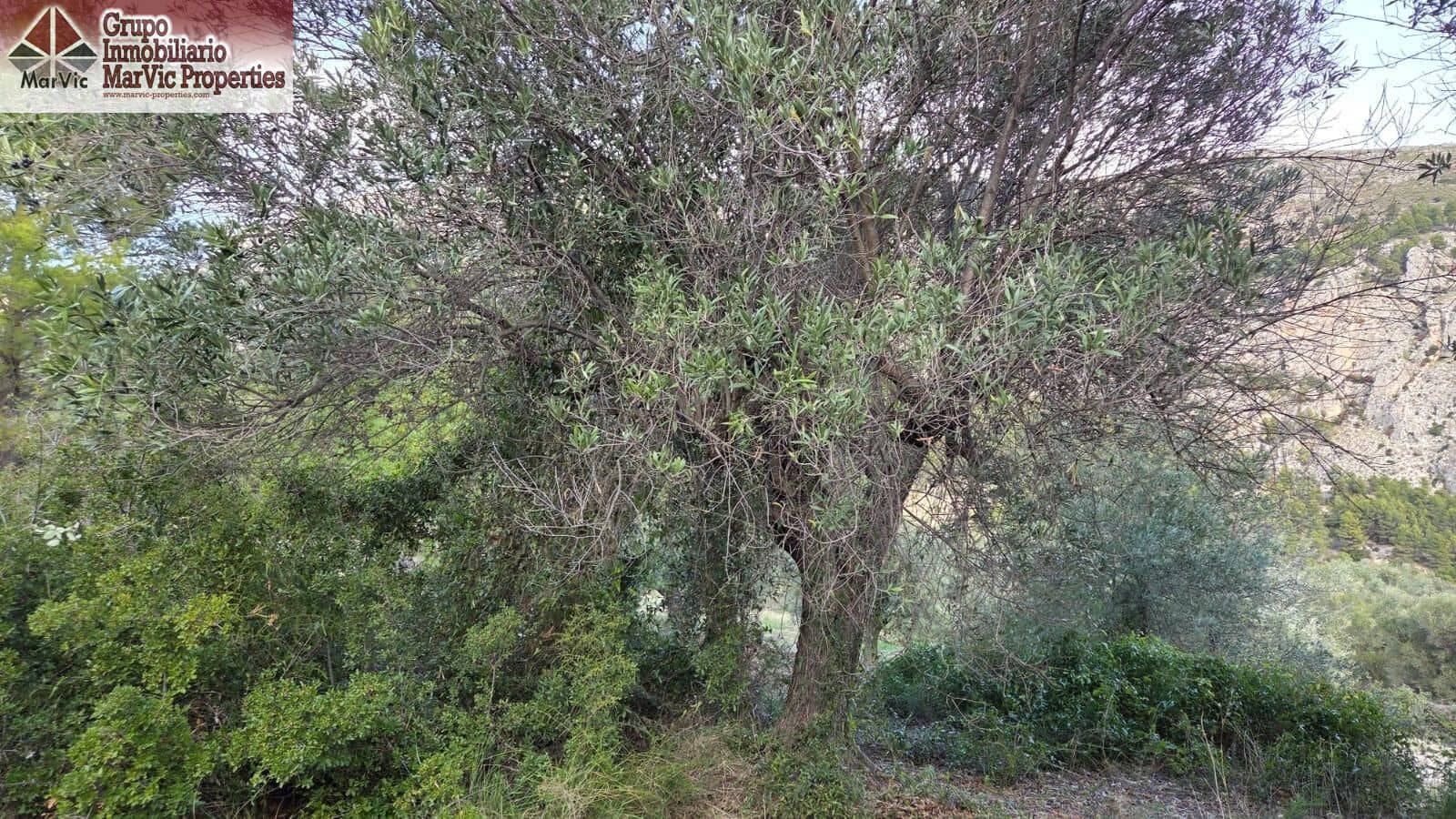 Byggegrund til salg i Beniarda - € 27.000 (Ref: 9449212)