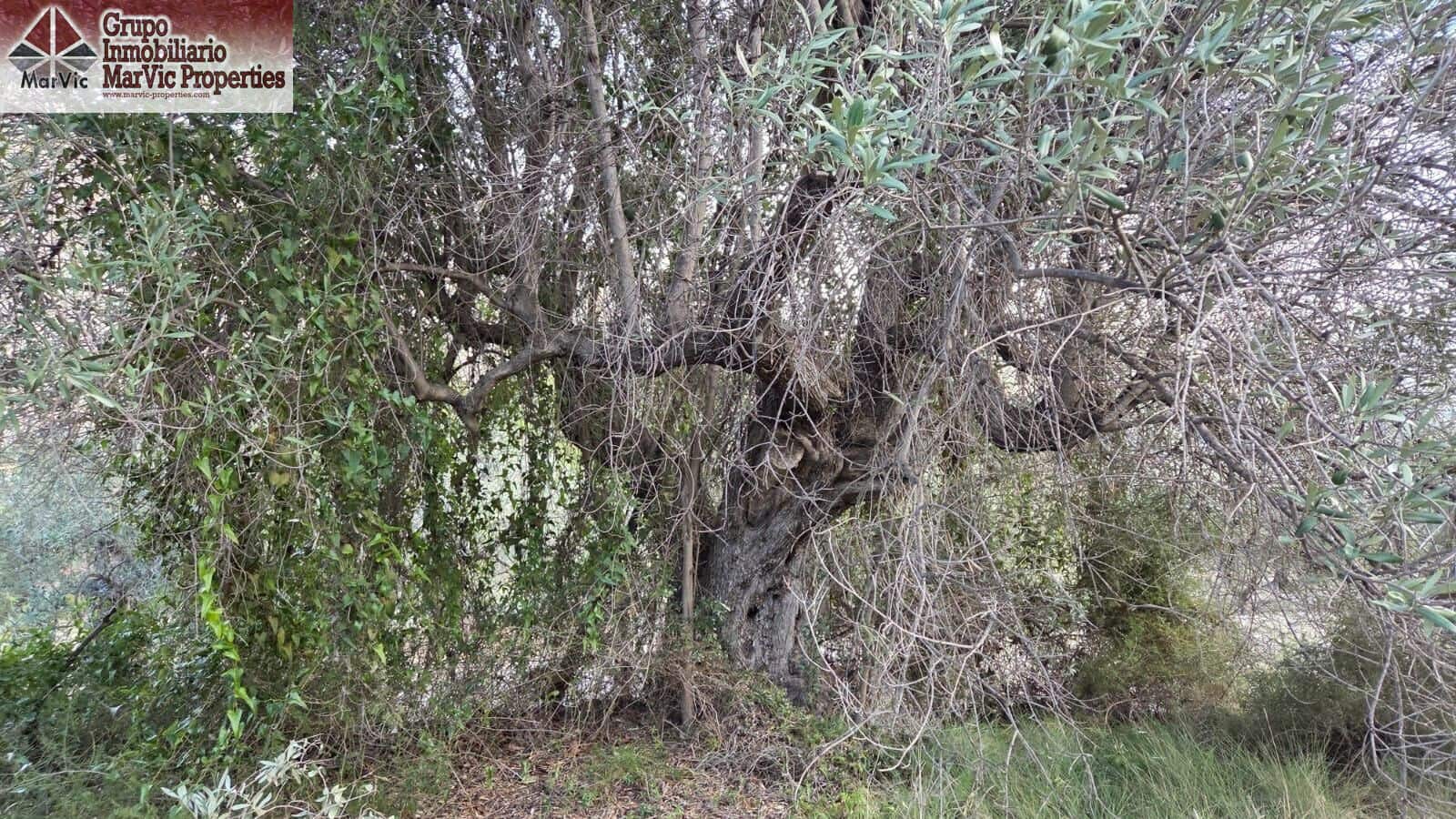 Byggegrund til salg i Beniarda - € 27.000 (Ref: 9449212)