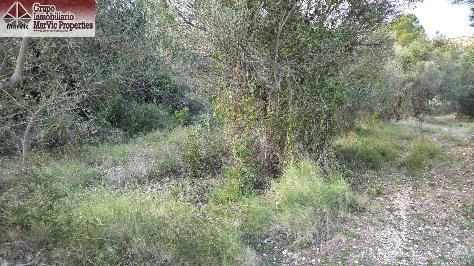 Byggegrund til salg i Beniarda - € 27.000 (Ref: 9449212)