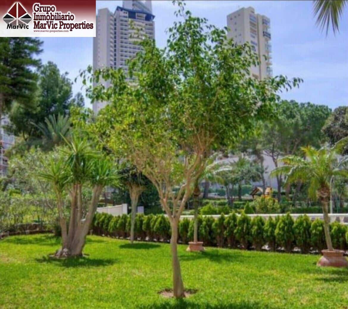 1 soverom Leilighet til salgs i Benidorm med svømmebasseng - € 136 500 (Ref: 9548269)