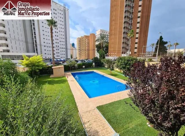 Studio til salg i Levante, Benidorm med swimmingpool - € 130.000 (Ref: 9551593)