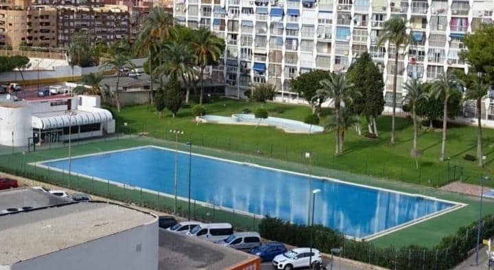 Studio til salg i Benidorm med swimmingpool - € 85.000 (Ref: 9591351)