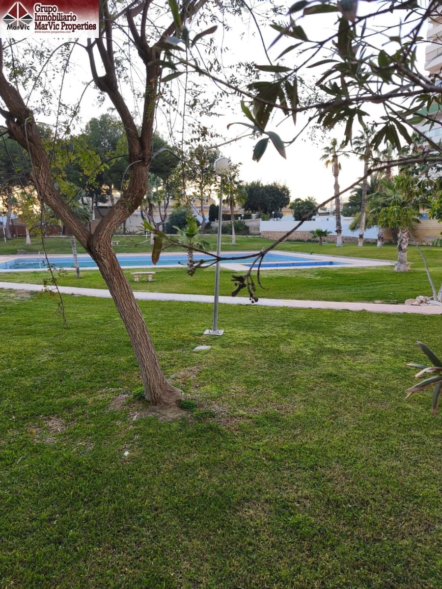 3 soverom Leilighet til salgs i Benidorm med svømmebasseng - € 261 000 (Ref: 9630023)