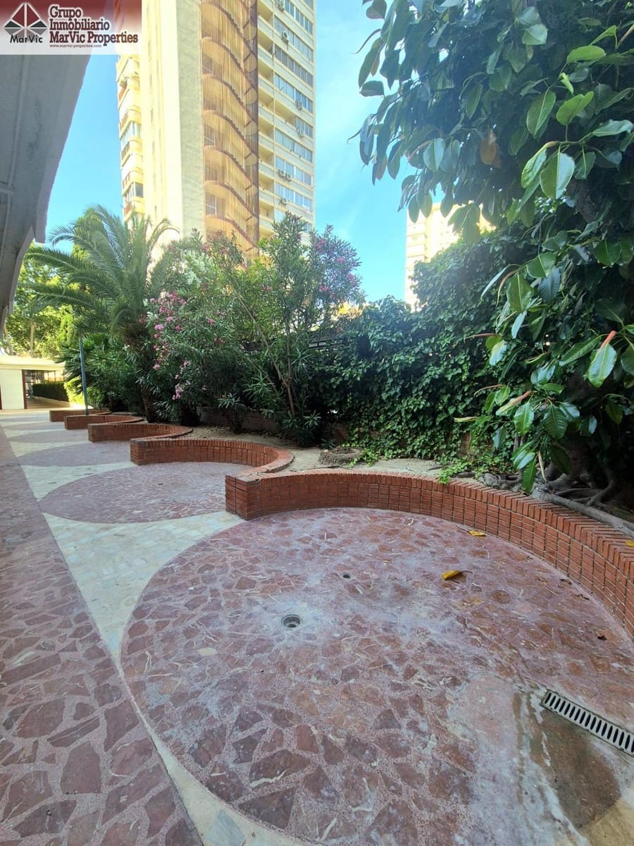 Studio til salgs i Benidorm - € 990 000 (Ref: 9876477)
