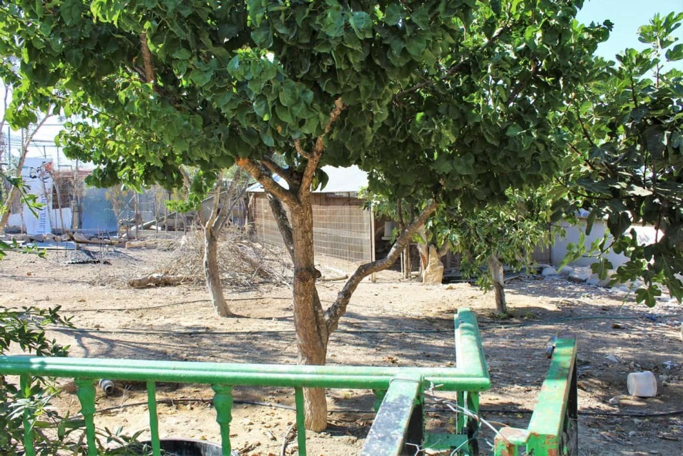 1 quarto Moradia para venda em Torremendo com piscina - 490 000 € (Ref: 6733661)