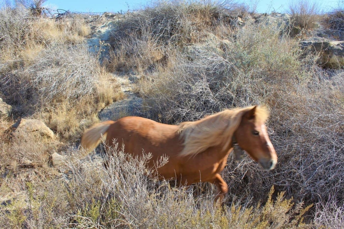 1 quarto Moradia para venda em Torremendo com piscina - 490 000 € (Ref: 6733661)