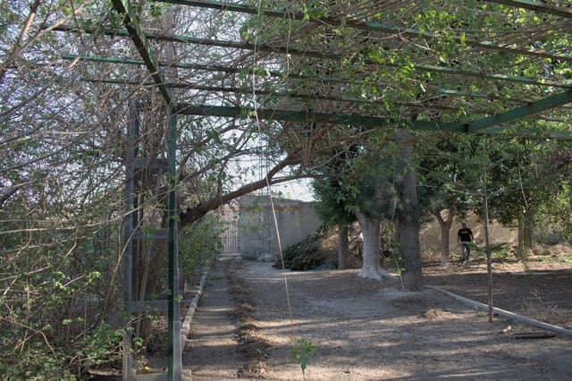 2 slaapkamer Finca/Landhuis te koop in Redován - € 186.480 (Ref: 7505305)