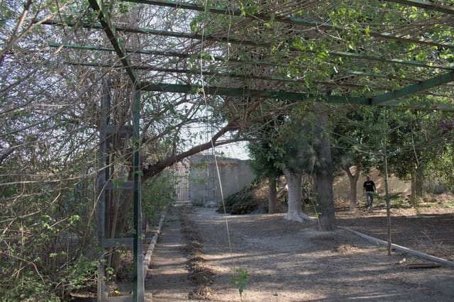 2 slaapkamer Finca/Landhuis te koop in Redován - € 179.999 (Ref: 7505305)