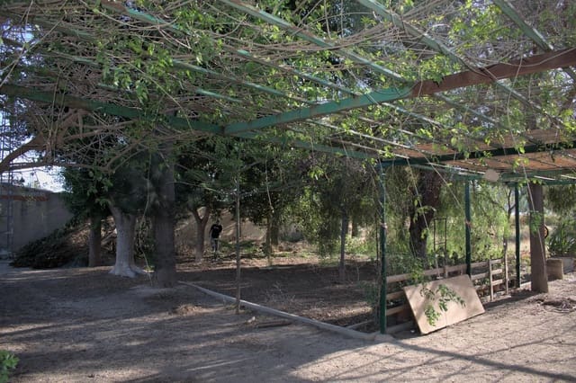 2 slaapkamer Finca/Landhuis te koop in Redován - € 179.999 (Ref: 7505305)