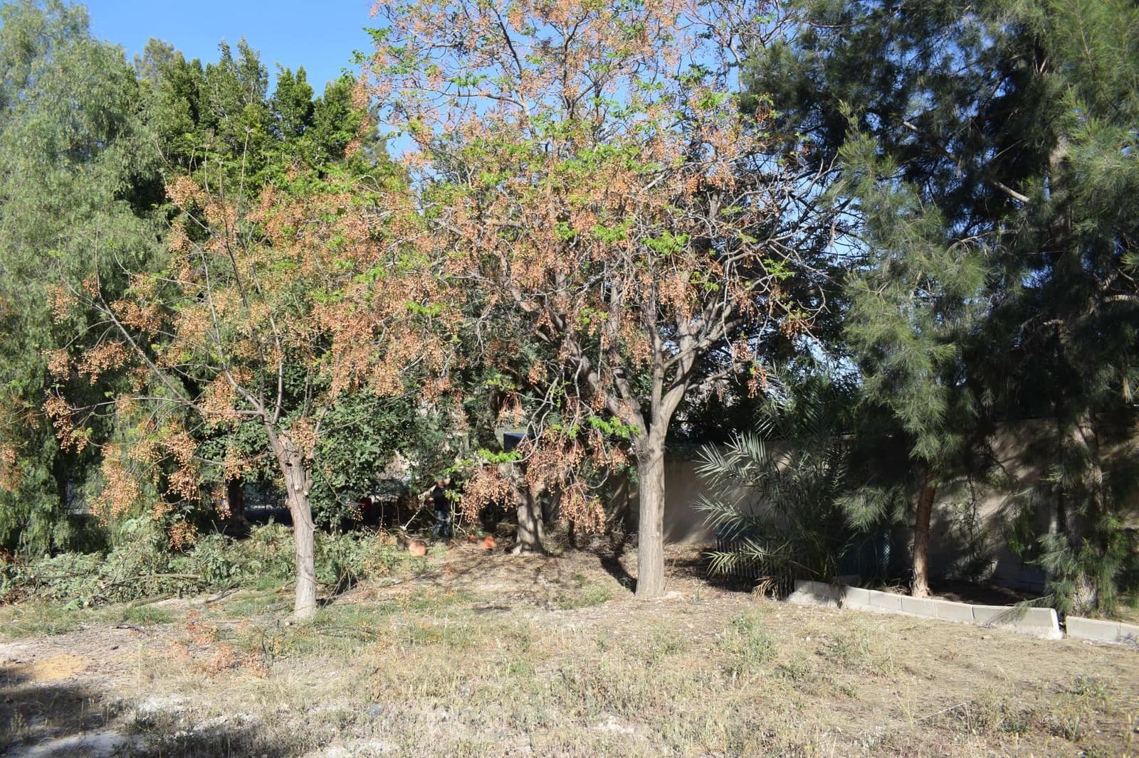 2 camera da letto Finca/Casa di Campagna in vendita in Redovan - 179.999 € (Rif: 7505305)