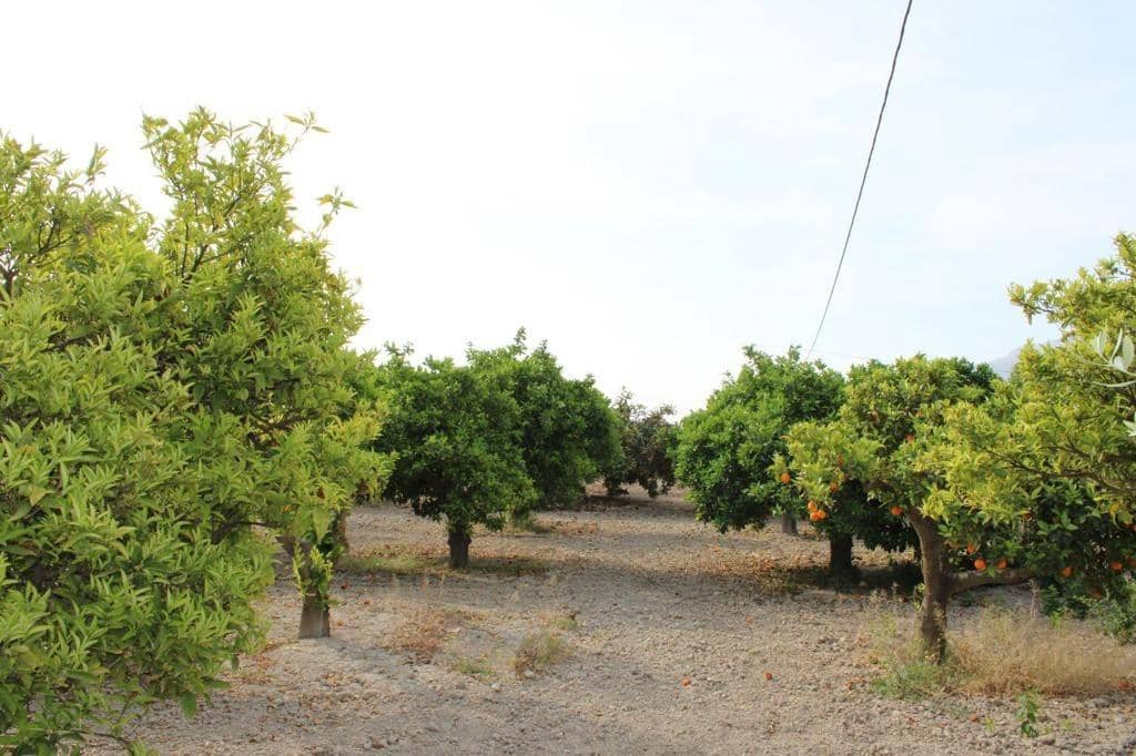 4 camera da letto Azienda in vendita in Redovan con garage - 940.000 € (Rif: 7590629)