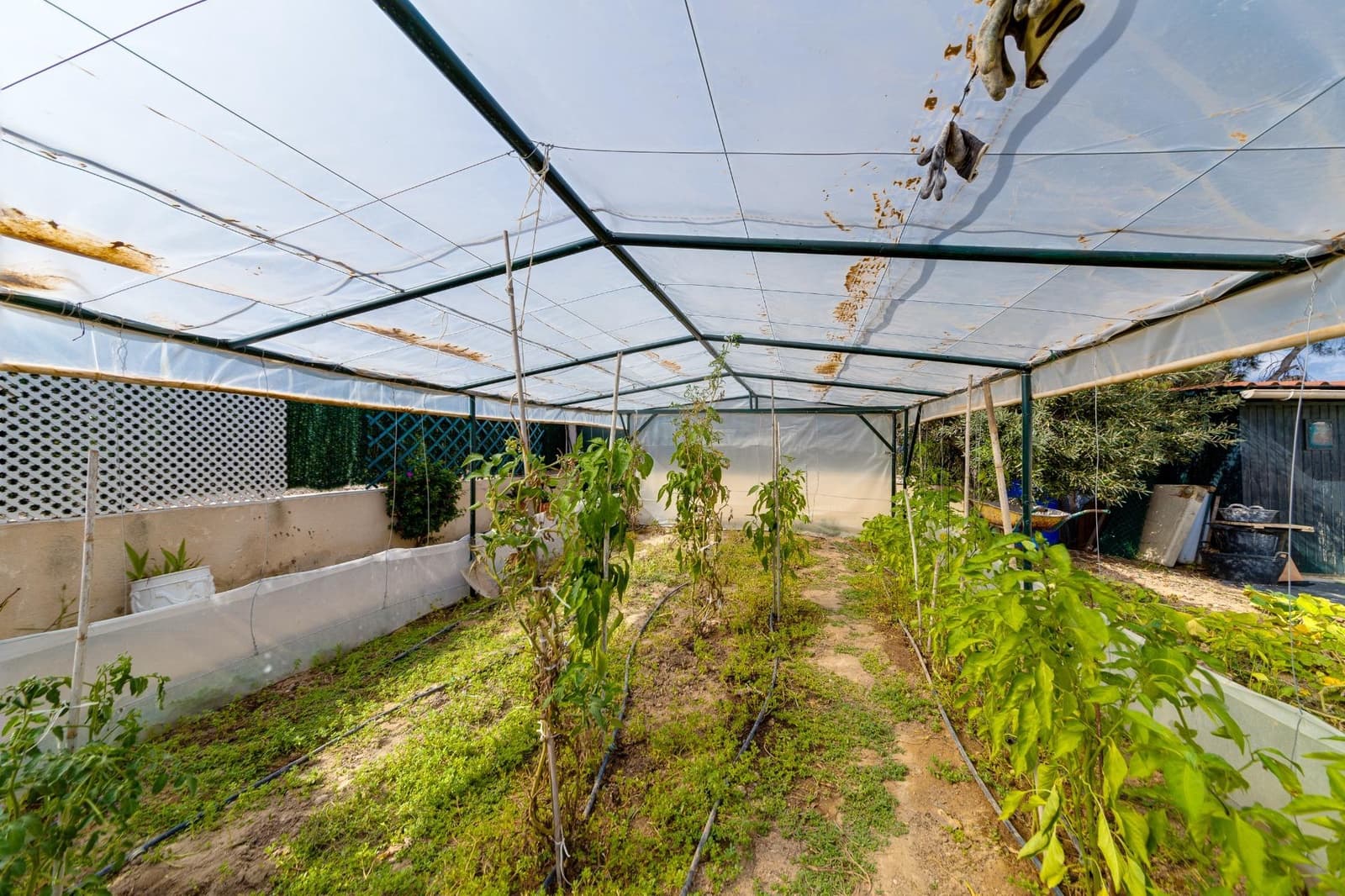 4 makuuhuone Huvila myytävänä paikassa Filipinas mukana uima-altaan 
autotalli - 726 538 € (Ref: 7819916)