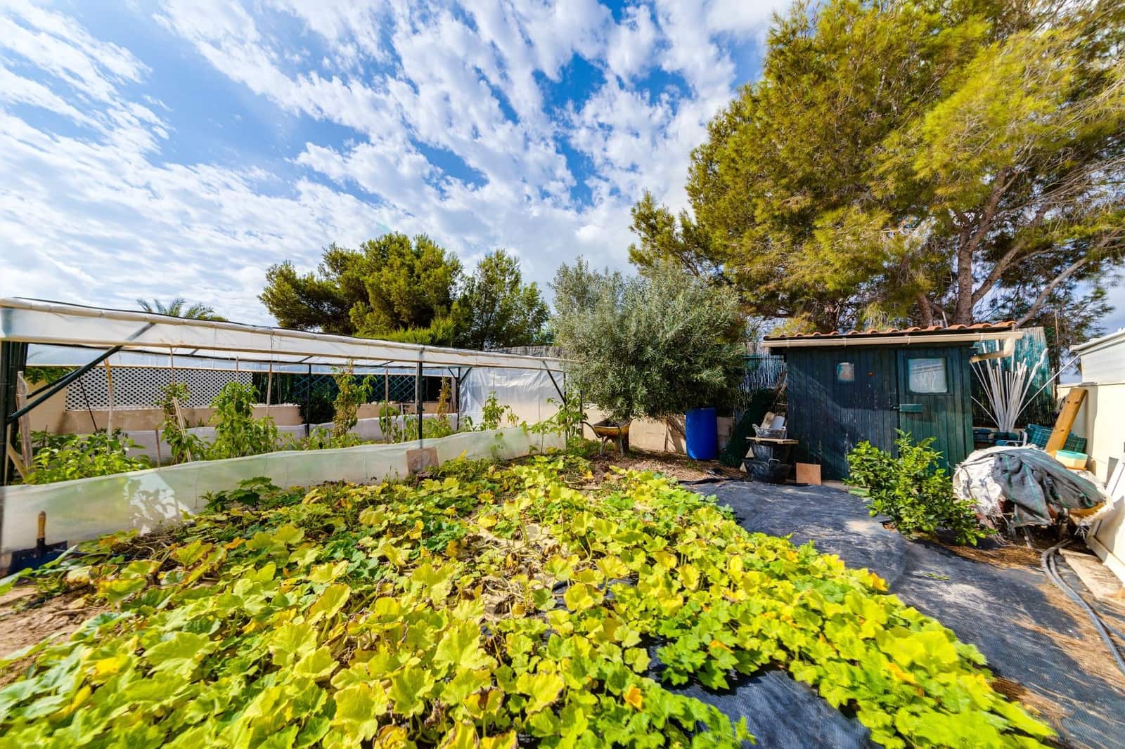 4 makuuhuone Huvila myytävänä paikassa Filipinas mukana uima-altaan 
autotalli - 726 538 € (Ref: 7819916)