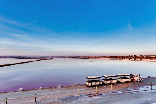 Area Edificabile in vendita in El Chaparral - La Siesta - La Torreta, Torrevieja - 280.000 € (Rif: 8302953)