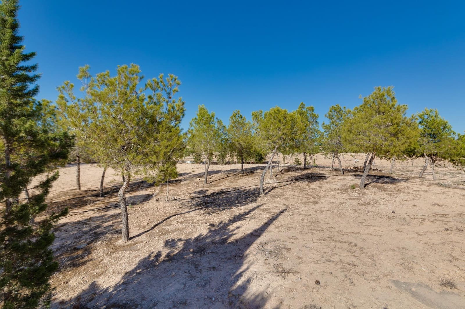 4 camera da letto Villa in vendita in Molina de Segura con piscina garage - 335.172 € (Rif: 8434217)