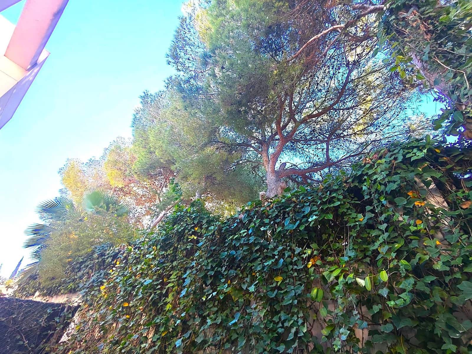 3 chambre Appartement à vendre à Orihuela Costa avec piscine garage - 375 000 € (Ref: 9599654)