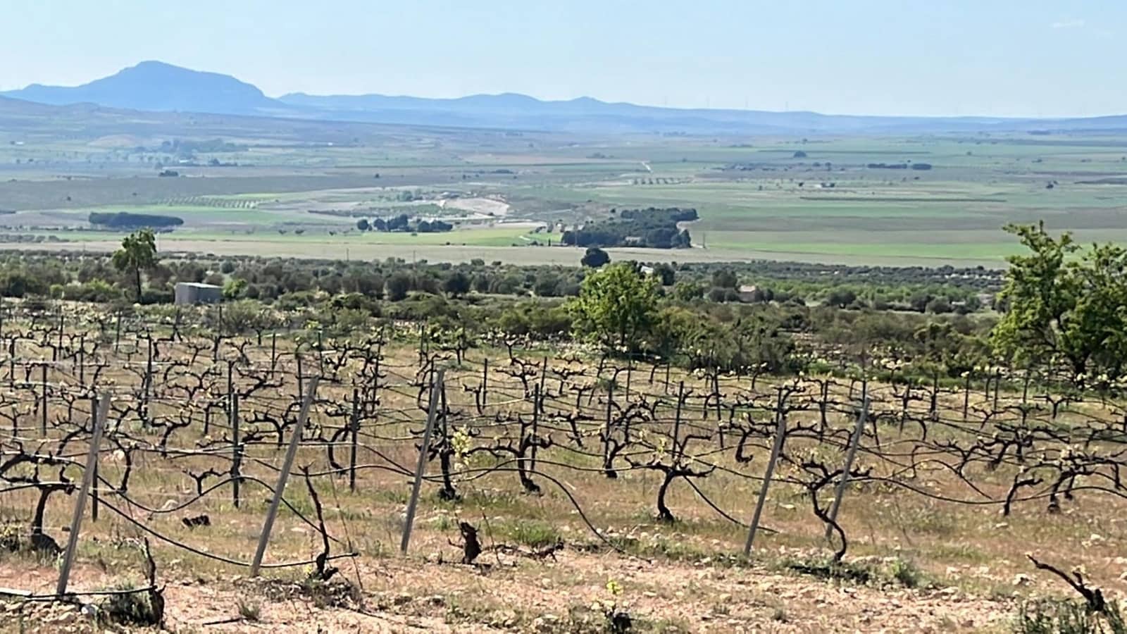 6 sypialnia Willa na sprzedaż w Yecla z basenem garażem - 800 000 € (Ref: 9615868)