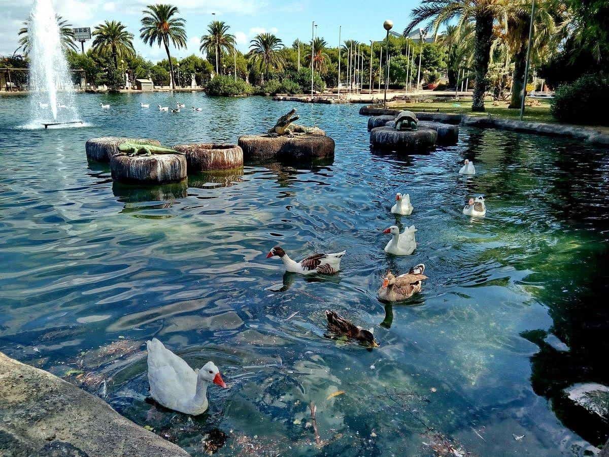 1 chambre Appartement à vendre à Torrevieja avec piscine - 113 999 € (Ref: 9625812)