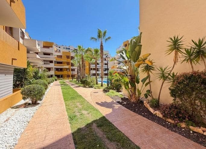 3 soverom Leilighet til salgs i Punta Prima med svømmebasseng garasje - € 289 000 (Ref: 9797242)