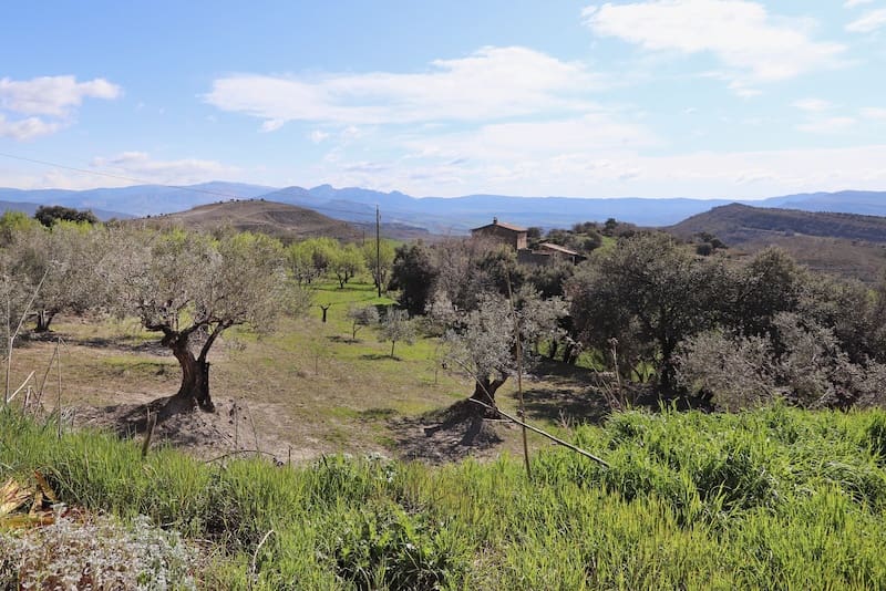 3 soveværelse Finca/Landehus til salg i Tremp - € 115.000 (Ref: 8949206)