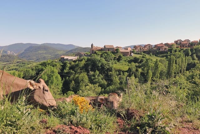 4 bedroom Finca/Country House for sale in Laspaúles with garage - € 420,000 (Ref: 9027153)