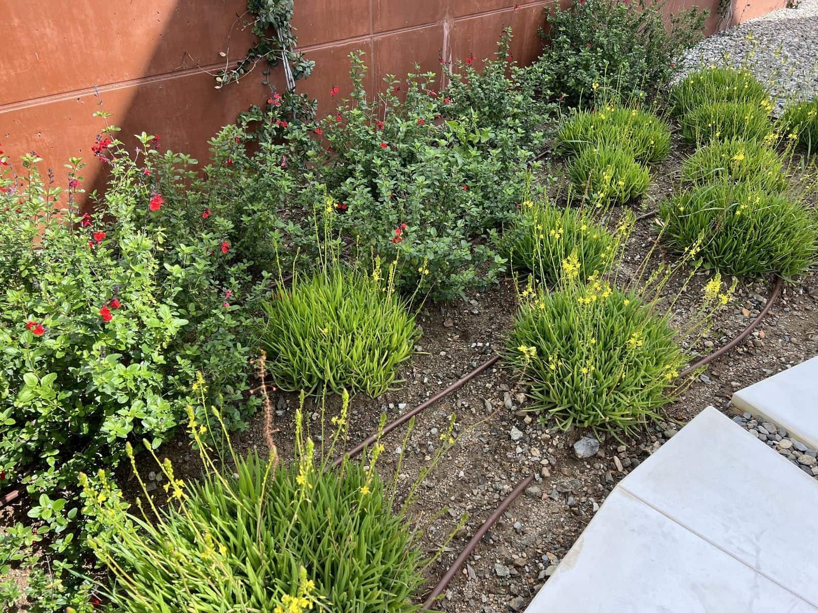 4 makuuhuone Huvila myytävänä paikassa Fuengirola mukana uima-altaan 
autotalli - 1 875 000 € (Ref: 9355611)