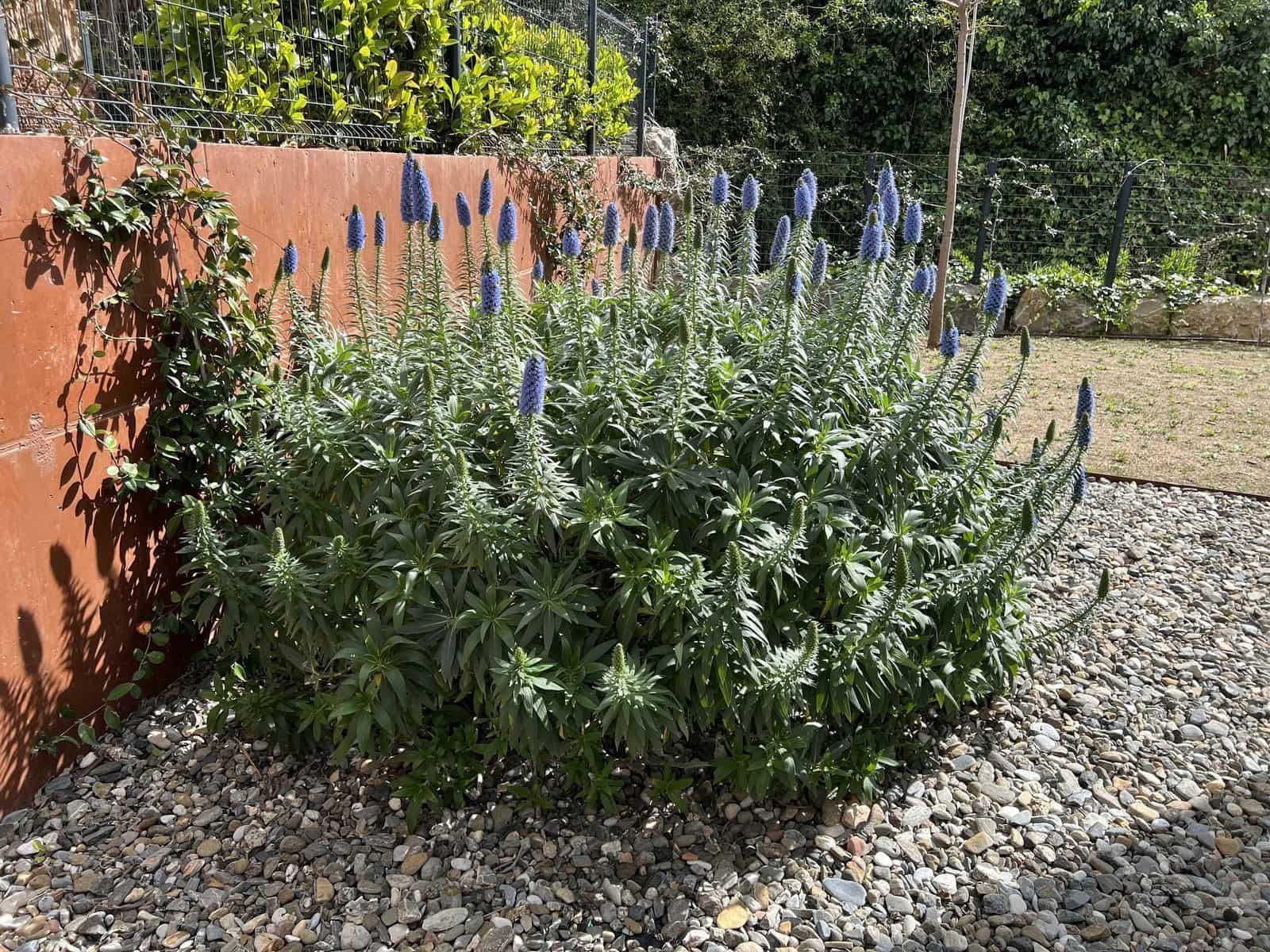 4 makuuhuone Huvila myytävänä paikassa Fuengirola mukana uima-altaan 
autotalli - 1 875 000 € (Ref: 9355611)