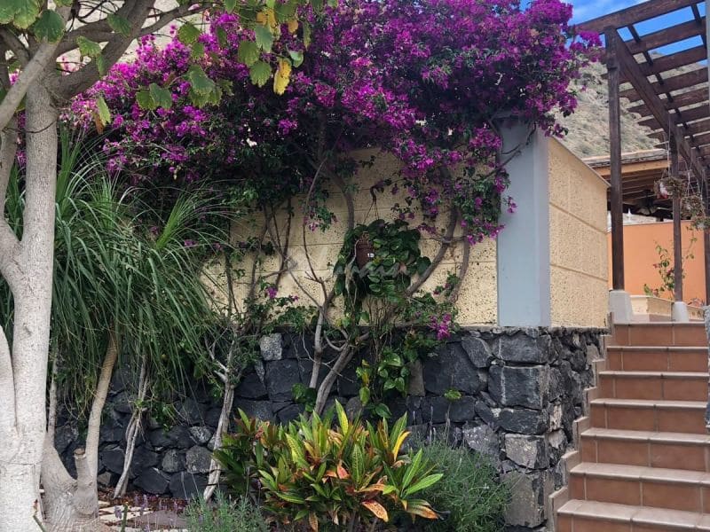 4 Zimmer Haus zu verkaufen in Los Cristianos mit Pool Garage - 750.000 € (Ref: 10001263)