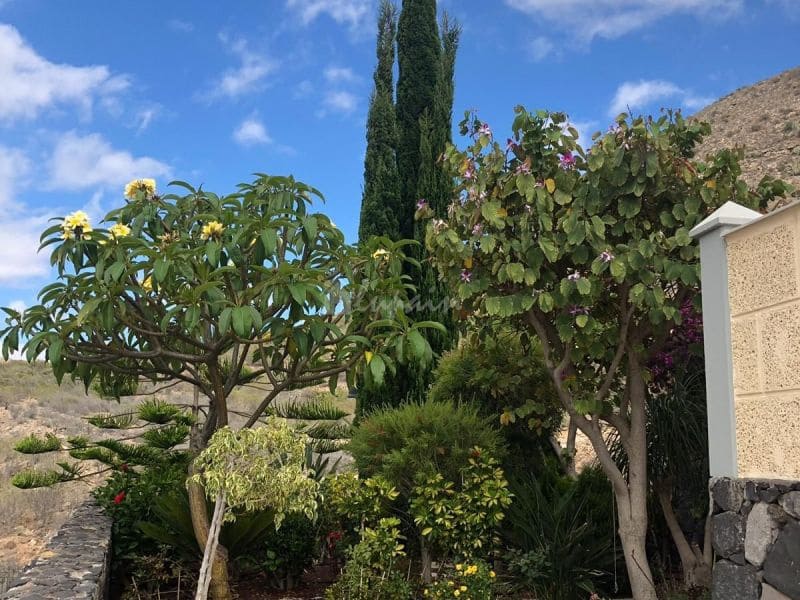 4 Zimmer Haus zu verkaufen in Los Cristianos mit Pool Garage - 750.000 € (Ref: 10001263)