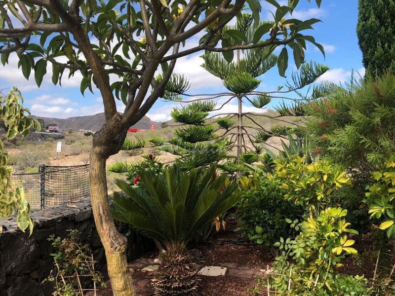 4 Zimmer Haus zu verkaufen in Los Cristianos mit Pool Garage - 750.000 € (Ref: 10001263)