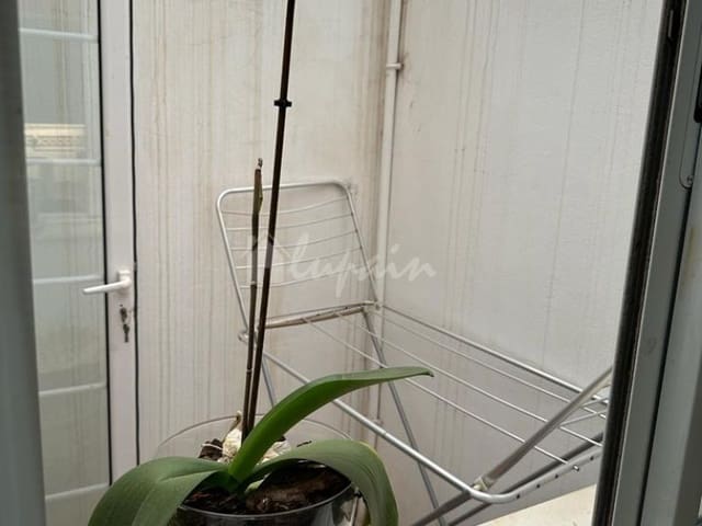 2 quarto Casa em Banda para venda em San Miguel de Abona com piscina - 225 000 € (Ref: 8116015)