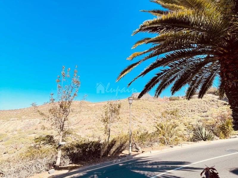 4 soveværelse Villa til salg i Chayofa - € 1.200.000 (Ref: 8116016)