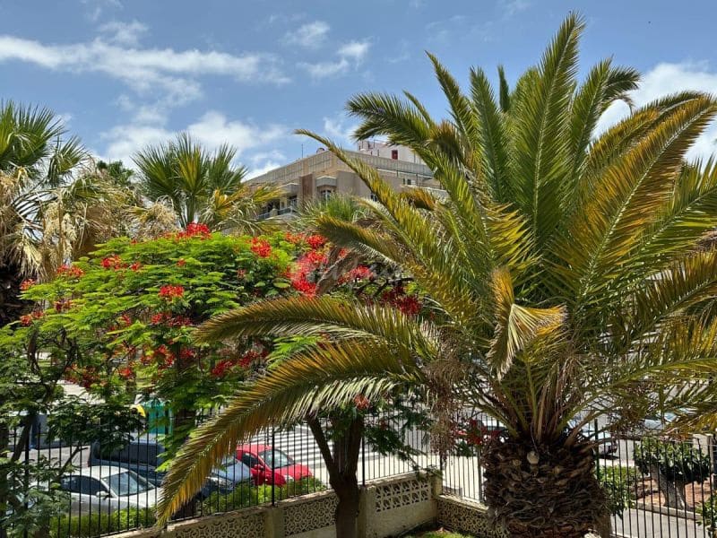 1 makuuhuone Huoneisto myytävänä paikassa Playa de las Americas mukana uima-altaan - 265 000 € (Ref: 8293445)