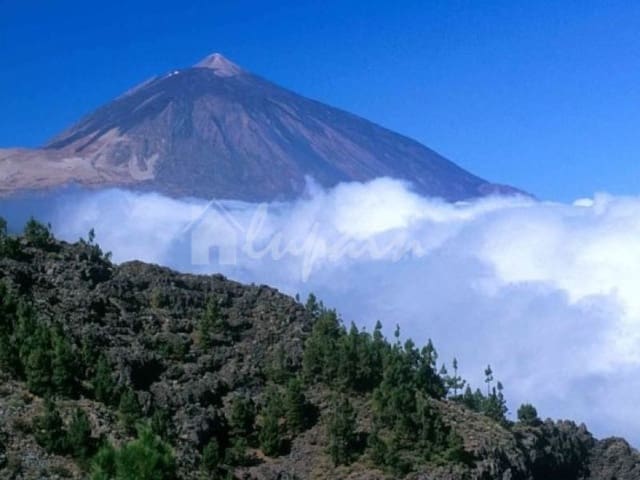 Virksomhed til salg i San Eugenio Bajo, Adeje - € 850.000 (Ref: 8342385)