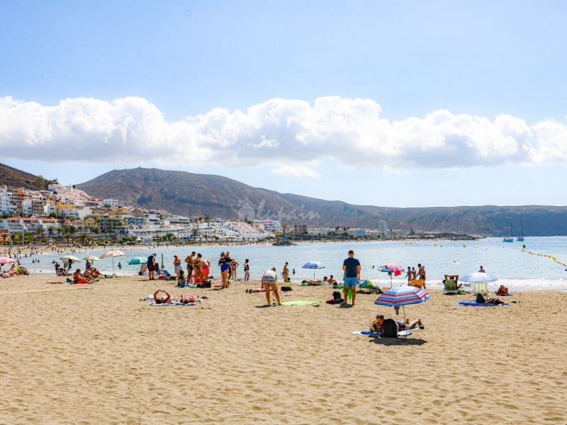 Bedrift til salgs i Costa Adeje - € 850 000 (Ref: 8342385)