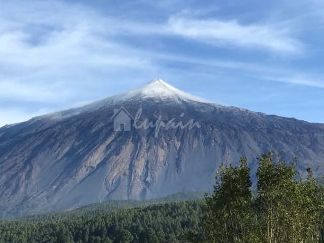 Virksomhed til salg i San Eugenio Bajo, Adeje - € 850.000 (Ref: 8342385)