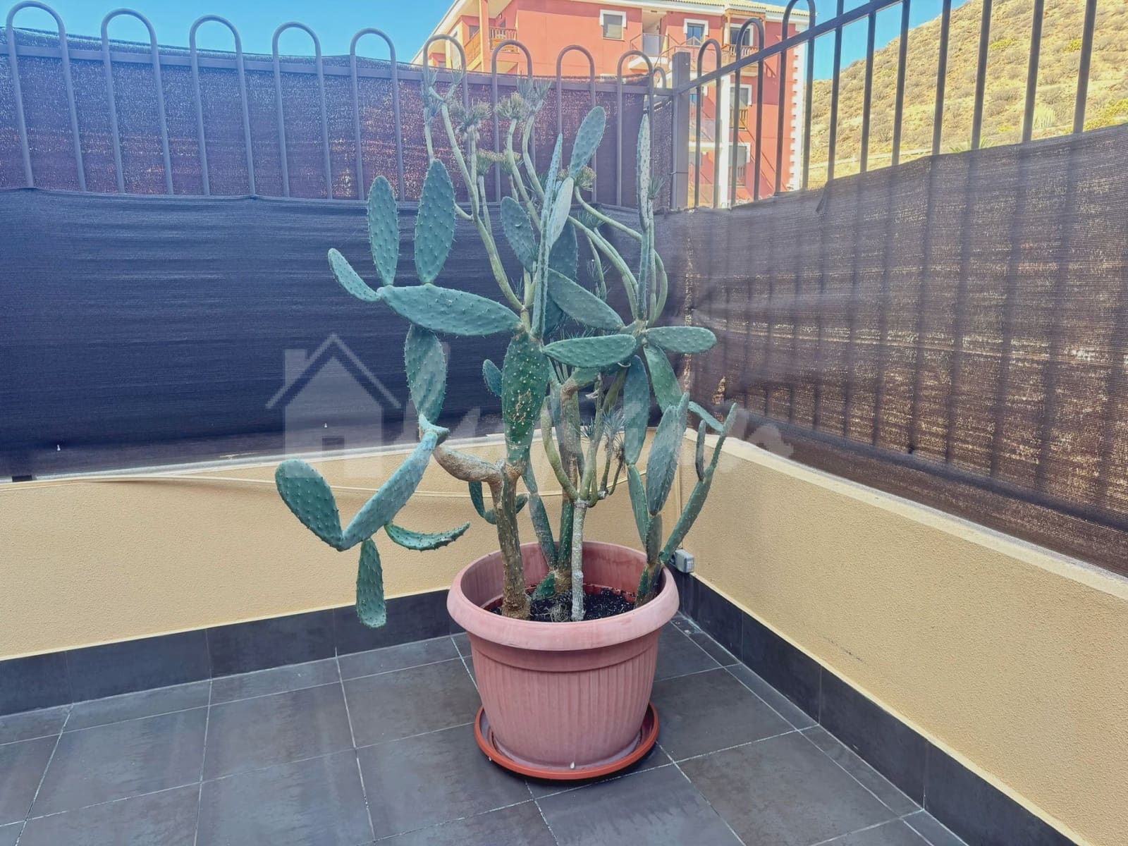 1 quarto Apartamento para venda em Palm-Mar com piscina - 220 000 € (Ref: 8666884)