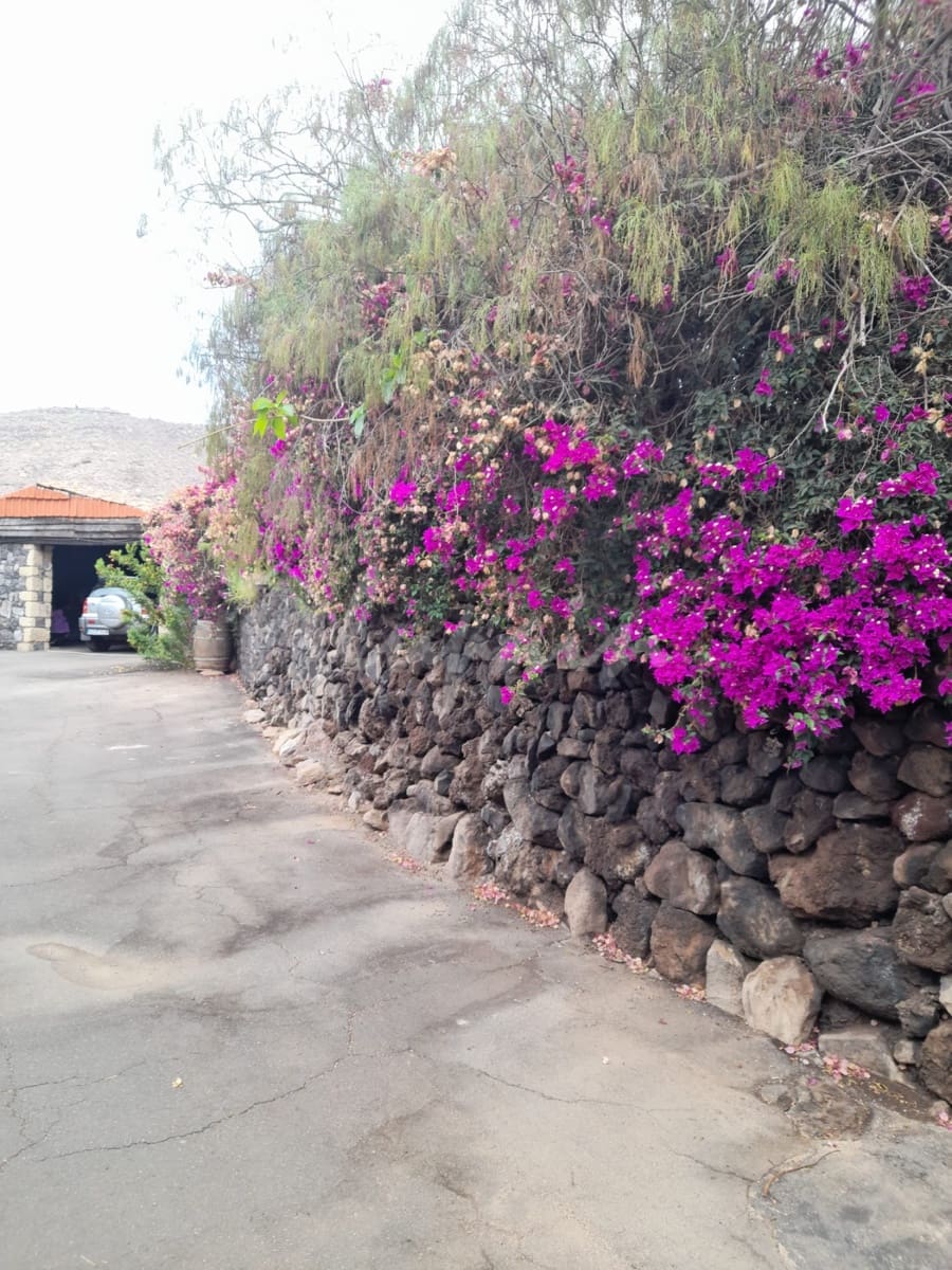 3 soverom Villa til salgs i Los Gigantes med svømmebasseng - € 1 600 000 (Ref: 8914335)