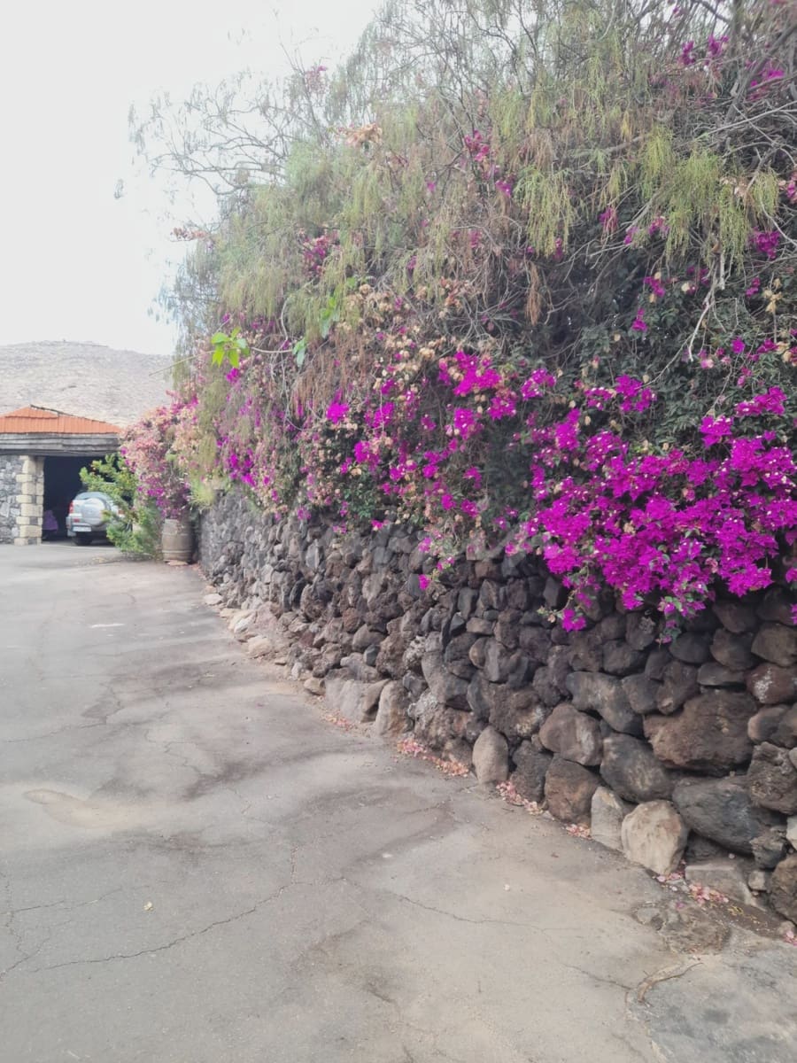 3 soveværelse Villa til salg i Los Gigantes med swimmingpool - € 1.600.000 (Ref: 8914335)