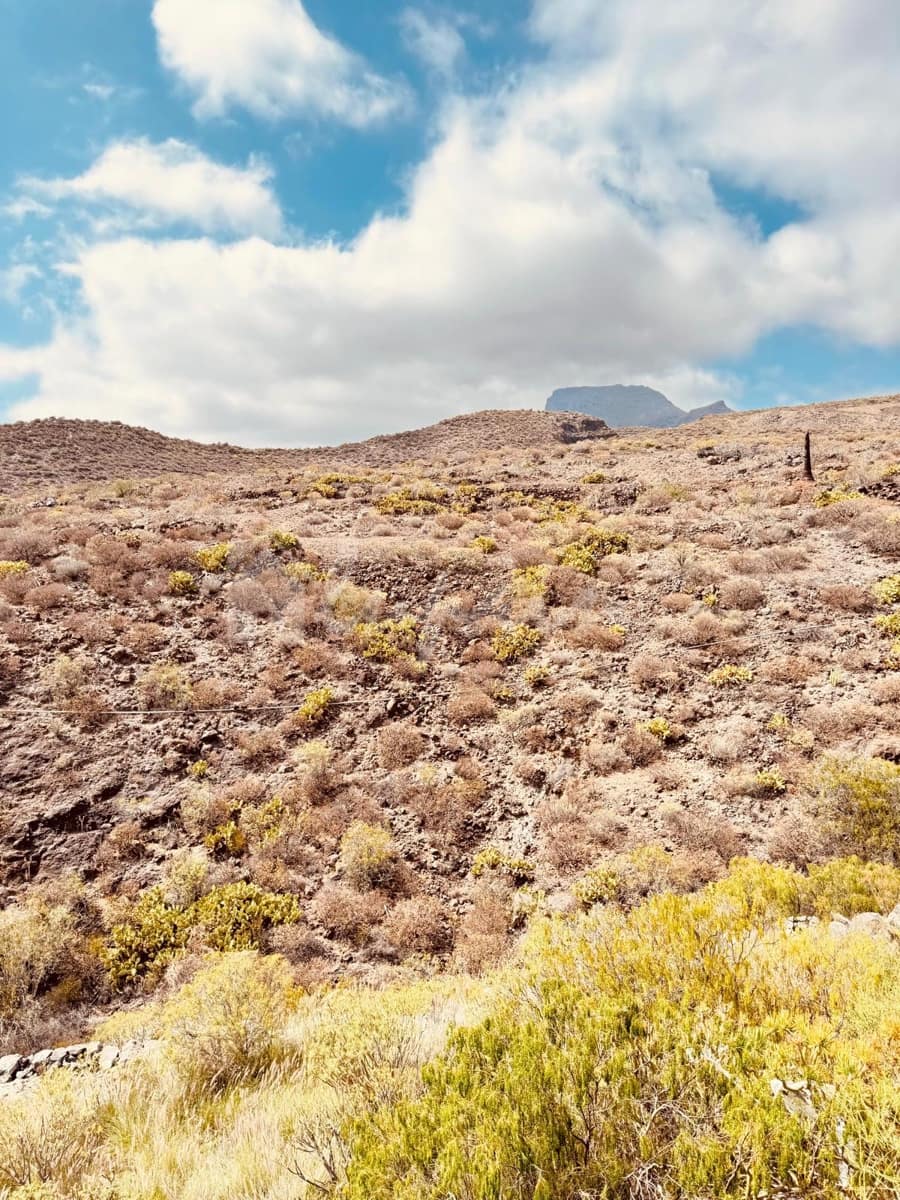 3 soveværelse Byhus til salg i Chayofa - € 480.000 (Ref: 9072709)