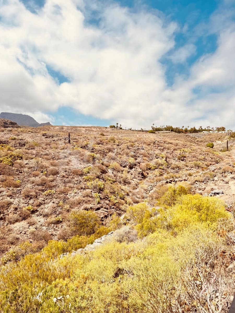 3 soveværelse Byhus til salg i Chayofa - € 480.000 (Ref: 9072709)