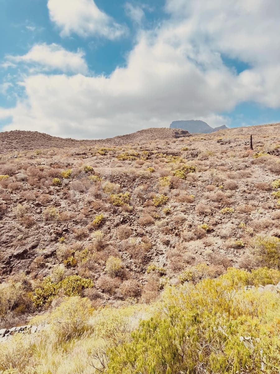 3 soveværelse Byhus til salg i Chayofa - € 480.000 (Ref: 9072709)