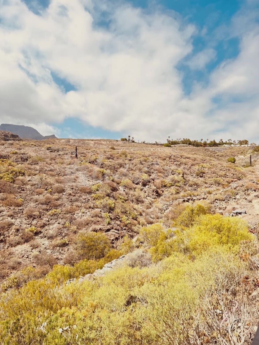 3 soveværelse Byhus til salg i Chayofa - € 480.000 (Ref: 9072709)