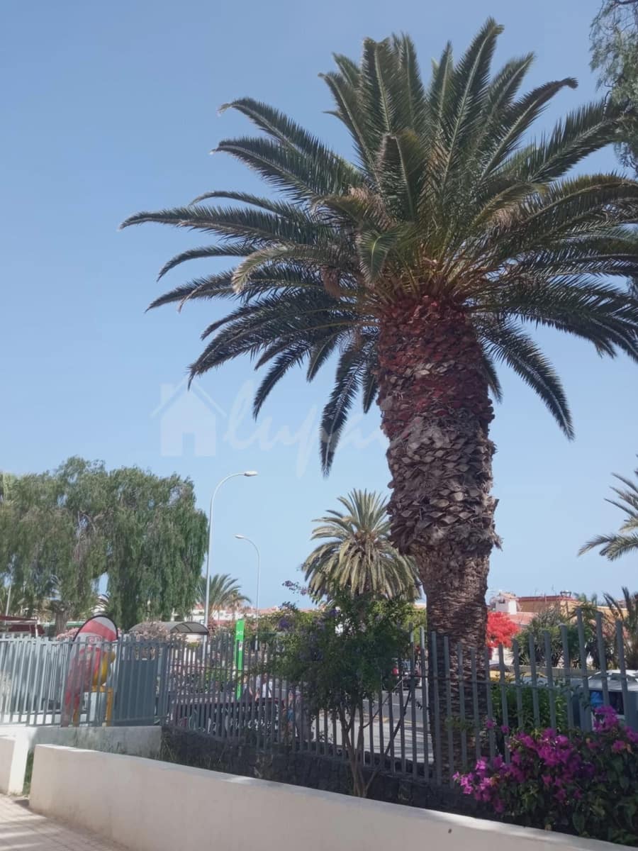 2 soverom Leilighet til salgs i Costa del Silencio med svømmebasseng - € 210 000 (Ref: 9254207)