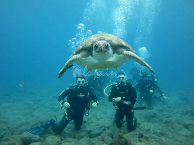 4 slaapkamer Villa te koop in Costa Adeje met zwembad - € 1.500.000 (Ref: 9337138)