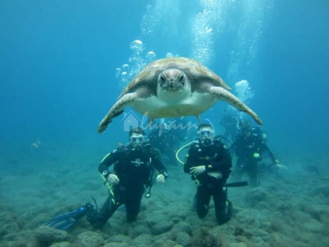 4 sovrum Villa till salu i La Caldera, Adeje med pool - 1 500 000 € (Ref: 9337138)