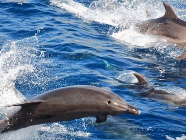 4 sovrum Villa till salu i La Caldera, Adeje med pool - 1 500 000 € (Ref: 9337138)