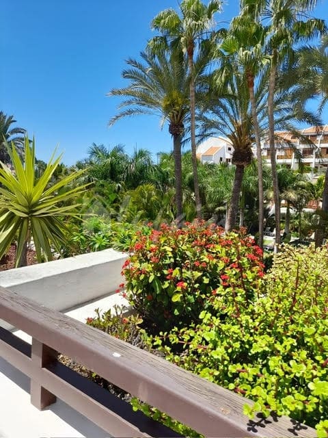 Estúdio para venda em Playa de las Americas com piscina - 359 950 € (Ref: 9341777)