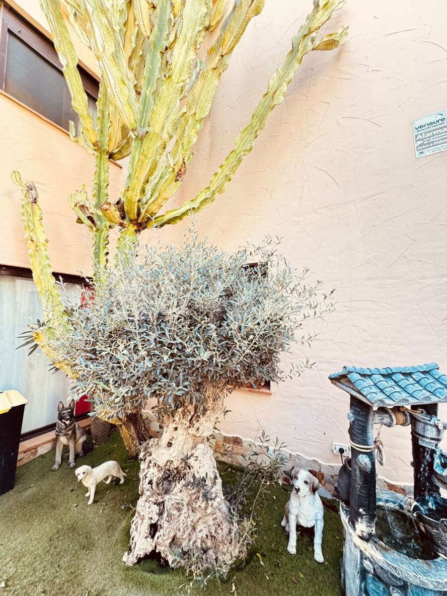 3 chambre Villa/Maison à vendre à Amarilla Golf avec piscine - 990 000 € (Ref: 9355364)