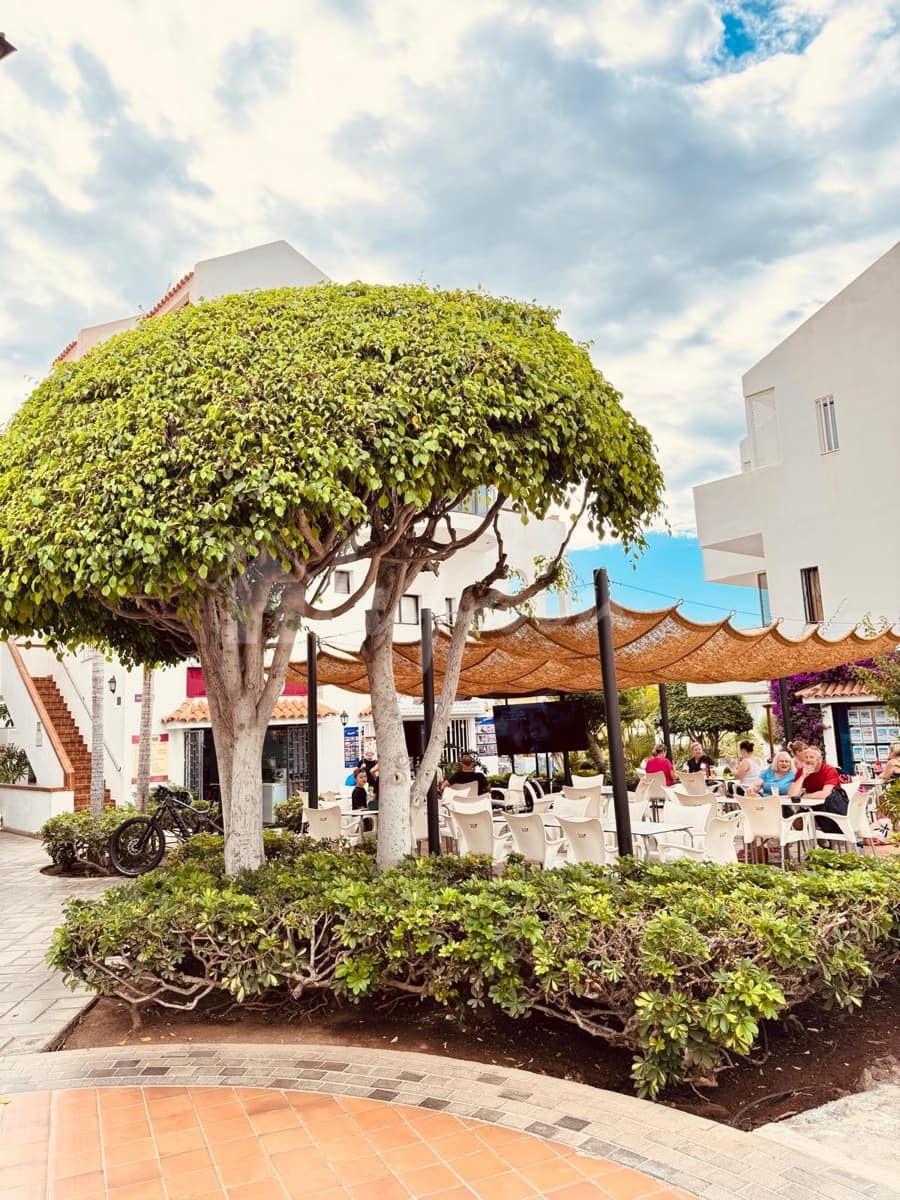 2 soverom Leilighet til salgs i Los Cristianos med svømmebasseng - € 449 000 (Ref: 9405932)